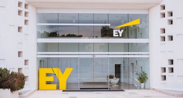 Ernst & Young presentation workshop